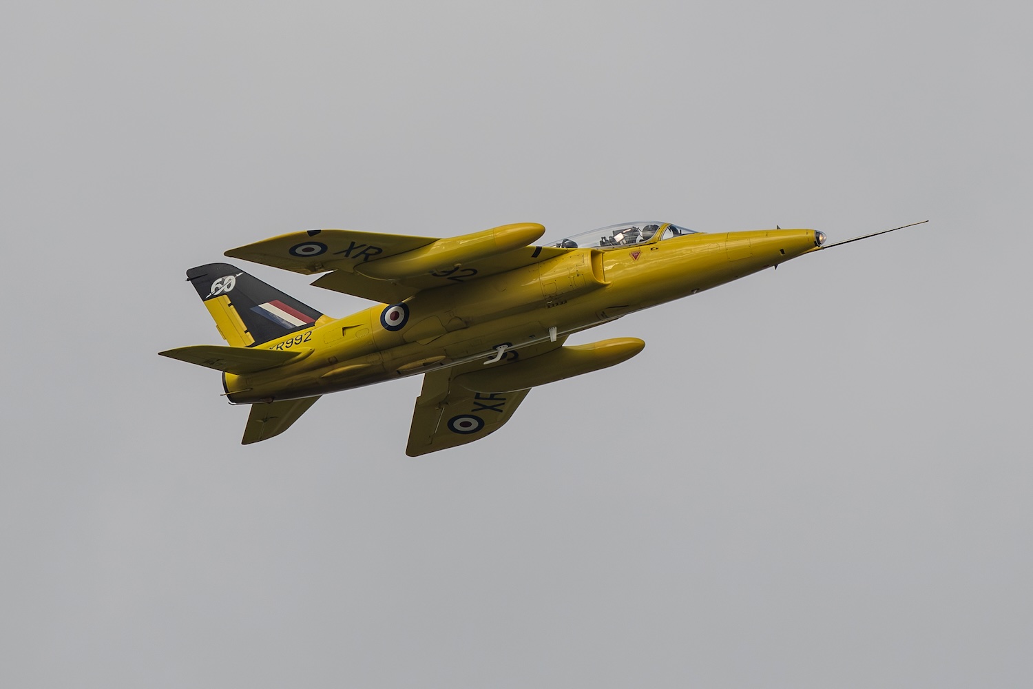 DSC_3182-Enhanced-NR