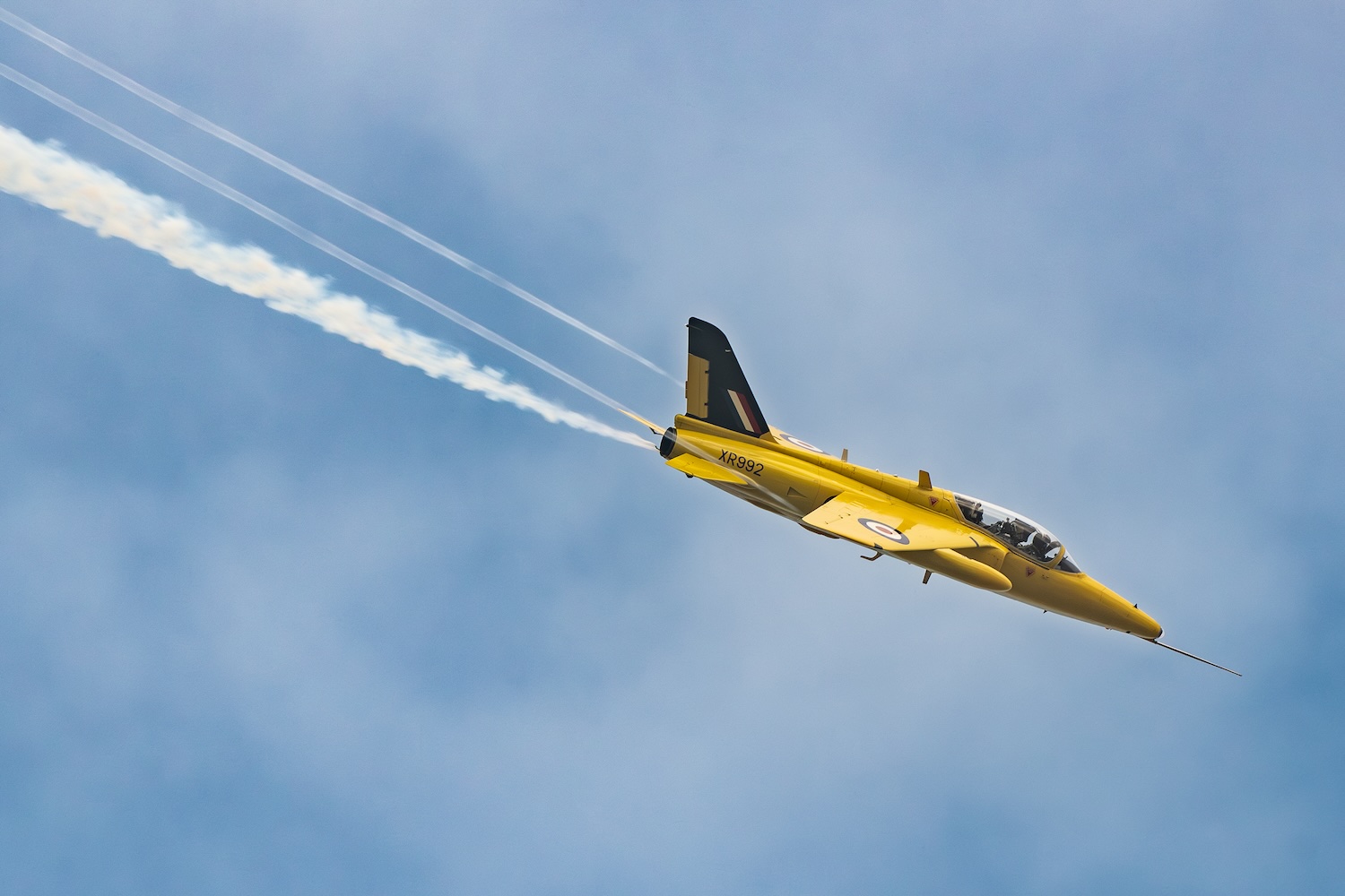 DSC_3408-Enhanced-NR